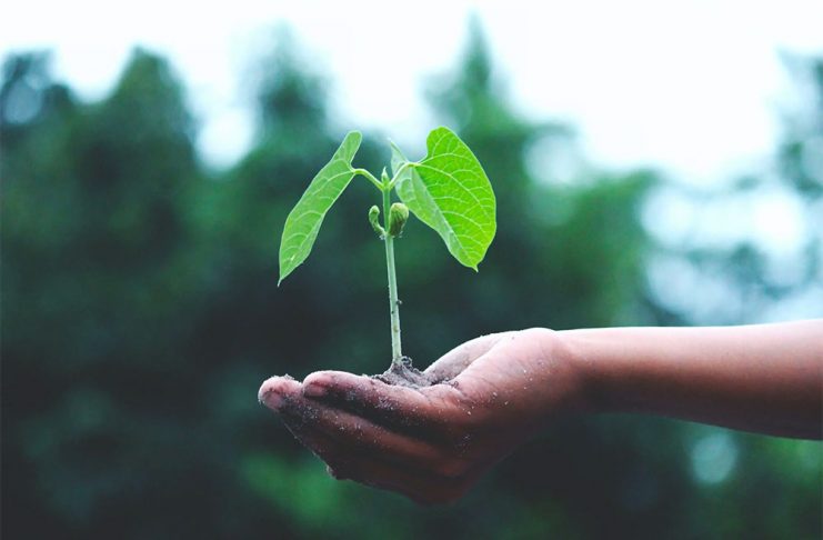 Día del Medio Ambiente: La esperanza también es acción por el clima