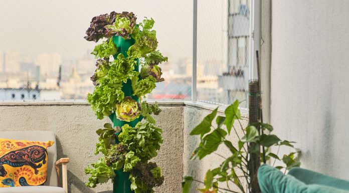 Pymes locales innovadoras se dan a conocer en países desarrollados