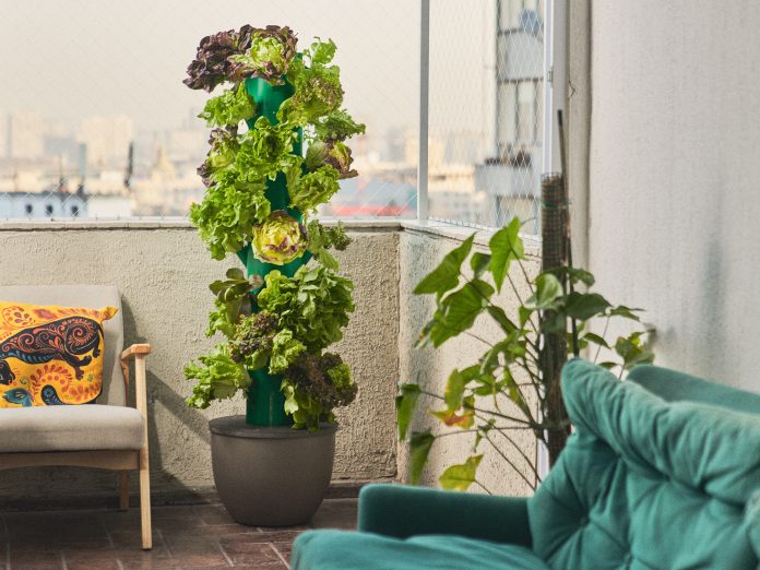 CORFO Aquaplants Ambient7503