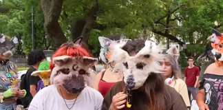 Columna de Opinión: De la teriantropía a los Therian