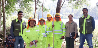 Programa de Empleo de CONAF refuerza labores preventivas ante incendios forestales