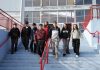 De Litueche a Londres: Investigación escolar sobre jalea real lleva a estudiantes de O’Higgins a una final mundial de ciencias