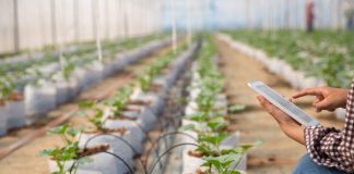 Colchagua se convierte en el epicentro de la innovación agroalimentaria con Agro-Tech O’Higgins 2026
