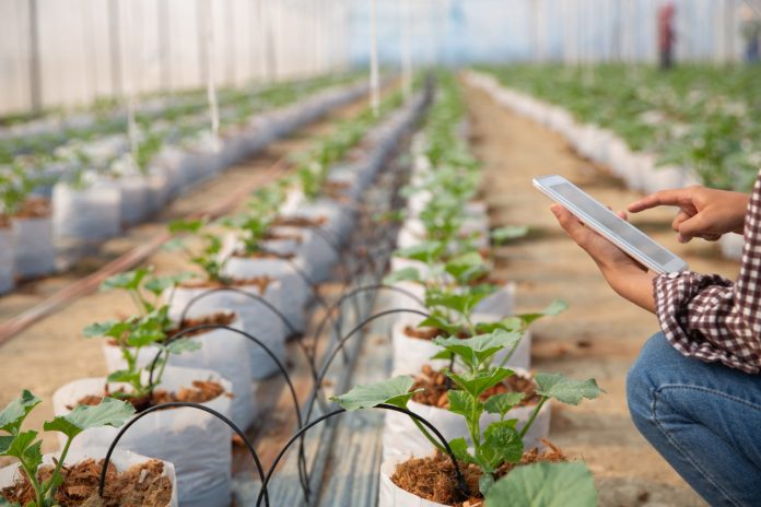 Agrotech 1