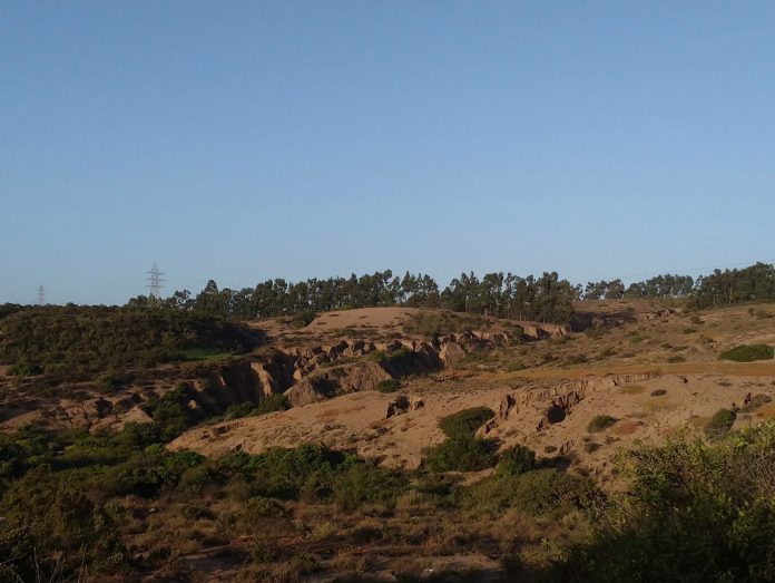Suelos 1