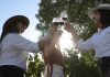 Santiago hace historia: Será sede del debut chileno de The World’s 50 Best Vineyards