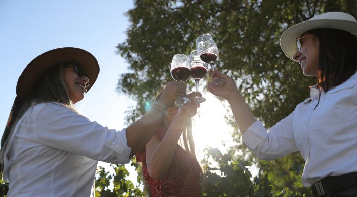 Santiago hace historia: Será sede del debut chileno de The World’s 50 Best Vineyards