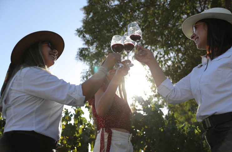 Santiago hace historia: Será sede del debut chileno de The World’s 50 Best Vineyards