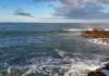 Académico UOH advierte que el cambio climático en el mar favorece enfermedades parasíticas en peces