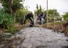 Proyectos de riego INDAP: Cada $10 millones invertidos generan 6 puestos de trabajo
